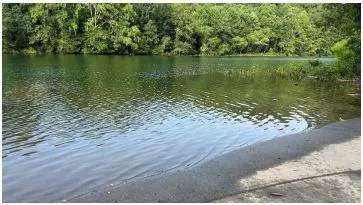 Water at Payne St Boar Ramp area